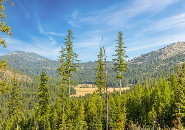Photo 3 of House for sale at Nhn Vermillion Creek Rd, Libby, MT 59923 | MLS# 30044302 | Listing updated on 2026-09-04