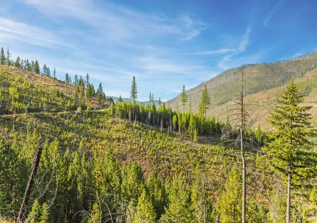 Photo 4 of House for sale at Nhn Vermillion Creek Rd, Libby, MT 59923 | MLS# 30044302 | Listing updated on 2026-09-04