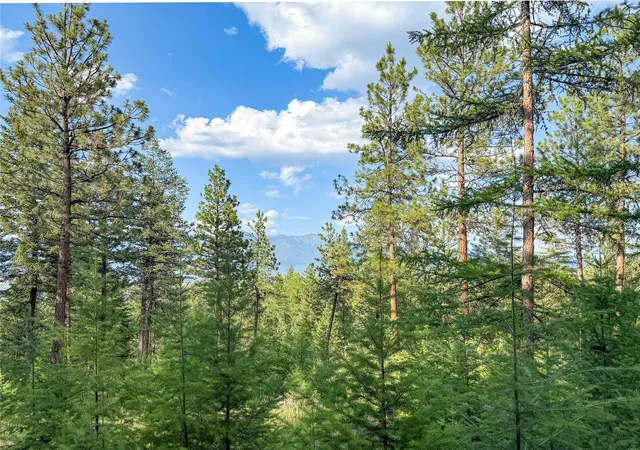 Photo 1 of Land for sale at 148 Tiny Acres Trl, Rexford, MT 59930 | MLS# 30052623 | Listing updated on 2026-09-02