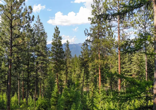 Photo 3 of Land for sale at 148 Tiny Acres Trl, Rexford, MT 59930 | MLS# 30052623 | Listing updated on 2026-09-02