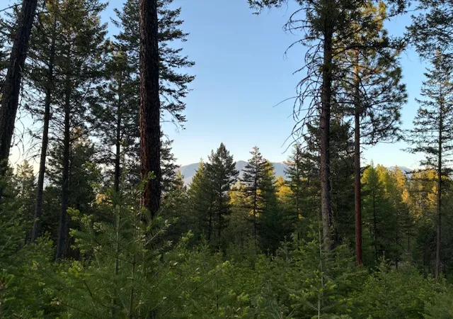 Photo 3 of Land for sale at 148 Tiny Acres Trl, Rexford, MT 59930 | MLS# 30052623 | Listing updated on 2026-09-02