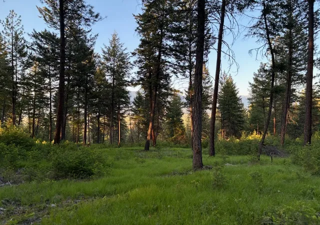 Photo 4 of Land for sale at 148 Tiny Acres Trl, Rexford, MT 59930 | MLS# 30052623 | Listing updated on 2026-09-02