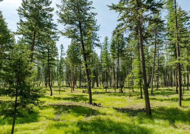 Photo 1 of Land for sale at 531 Northern Larch Trl #Lot 73, Kalispell, MT 59901 | MLS# 30053045 | Listing updated on 2026-09-18