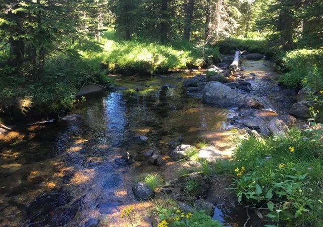 Photo 2 of Land for sale at Tbd Trapper Crk Rd, Melrose, MT 59743 | MLS# 30053710 | Listing updated on 2026-09-14