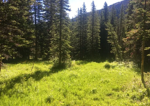 Photo 3 of Land for sale at Tbd Trapper Crk Rd, Melrose, MT 59743 | MLS# 30053710 | Listing updated on 2026-09-14