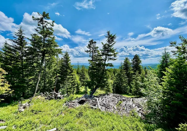 Land for sale at Nhn Mcmannamy Draw, Kalispell, MT 59901 | MLS# 30054080
