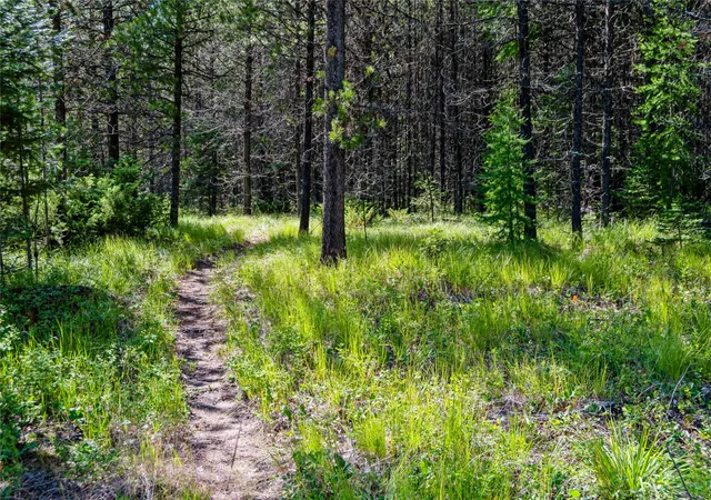 Photo 3 of Land for sale at 582 Whitefish Hills Loop, Whitefish, MT 59937 | MLS# 30054238 | Listing updated on 2026-09-14
