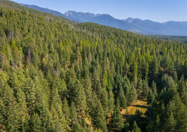 Photo 3 of Land for sale at 150 Peters Creek Way, Kalispell, MT 59901 | MLS# 30056884 | Listing updated on 2026-09-29
