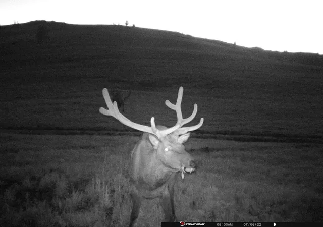 Photo 3 of Land for sale at Tbd Indian Crk Rd, Townsend, MT 59644 | MLS# 30058306 | Listing updated on 2026-09-18