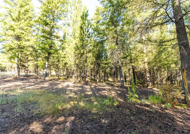 Photo 3 of Land for sale at 14297 Caddisfly Ct, Clinton, MT 59825 | MLS# 30058254 | Listing updated on 2026-09-14