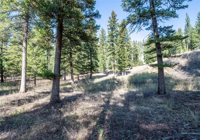 Photo 1 of Land for sale at Lot 17 Caddisfly Ct, Clinton, MT 59825 | MLS# 30058307 | Listing updated on 2026-09-14