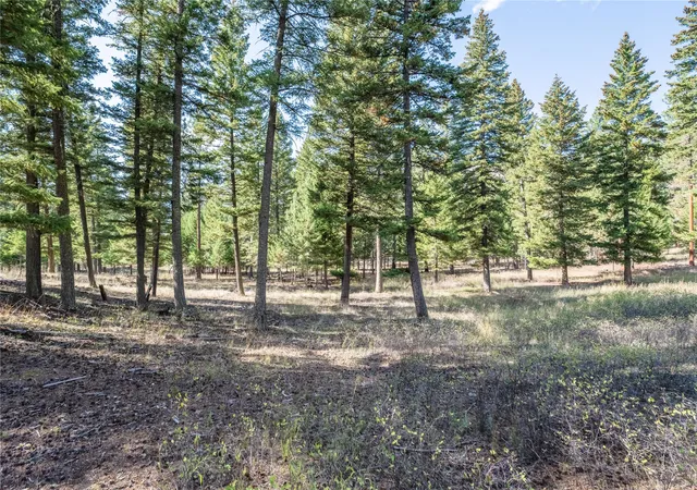 Photo 2 of Land for sale at Lot 17 Caddisfly Ct, Clinton, MT 59825 | MLS# 30058307 | Listing updated on 2026-09-14