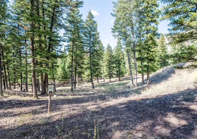 Photo 3 of Land for sale at Lot 17 Caddisfly Ct, Clinton, MT 59825 | MLS# 30058307 | Listing updated on 2026-09-14