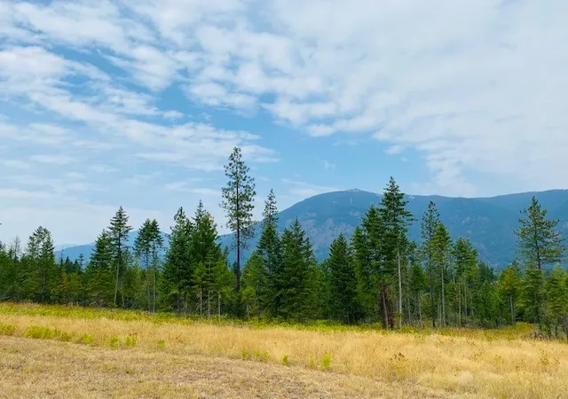 Photo 3 of Land for sale at Nhn Crk View Ln, Heron, MT 59844 | MLS# 30060190 | Listing updated on 2026-09-04