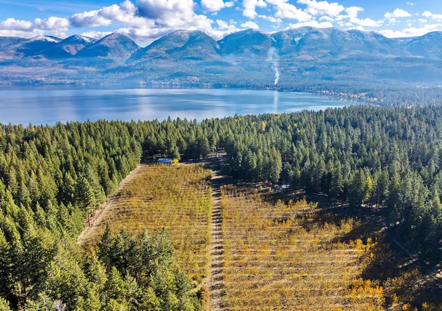 Photo 3 of Land for sale at 34310 Sweet Cherry Ln, Polson, MT 59860 | MLS# 30060490 | Listing updated on 2026-09-21
