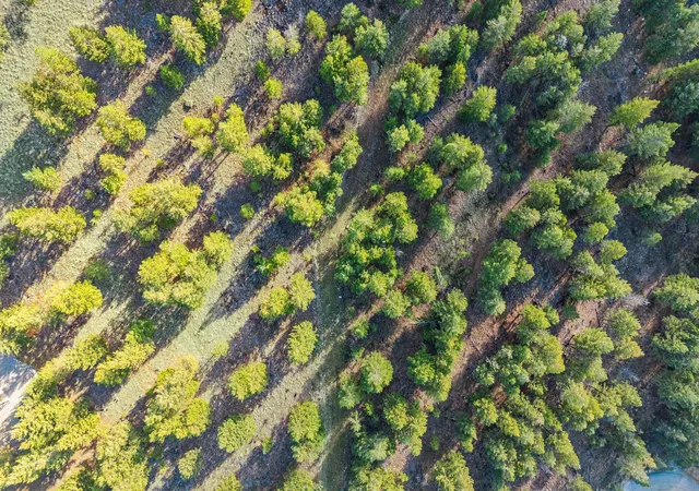 Photo 3 of Land for sale at Nhn Paradise Ridge Rd, Rexford, MT 59930 | MLS# 30060944 | Listing updated on 2026-09-14