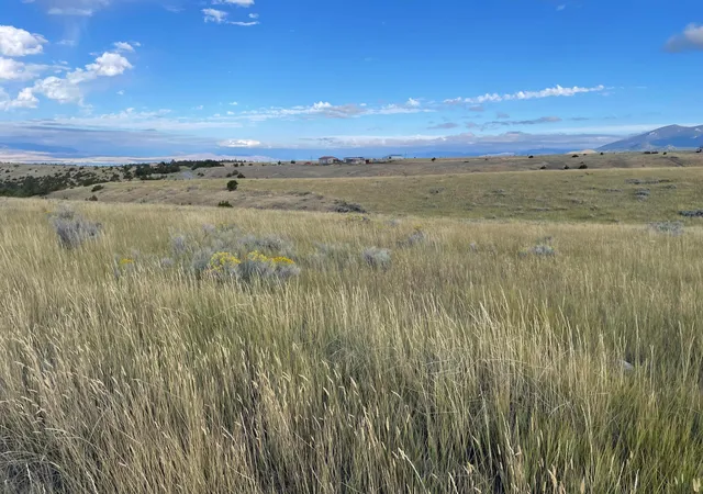 Photo 1 of Land for sale at Tbd S Frk Ray Crk Rd, Townsend, MT 59644 | MLS# 30060898 | Listing updated on 2026-09-18
