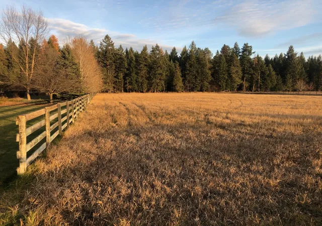 Photo 3 of Land for sale at Nhn Conagher Ln, Columbia Falls, MT 59912 | MLS# 30061205 | Listing updated on 2026-09-28