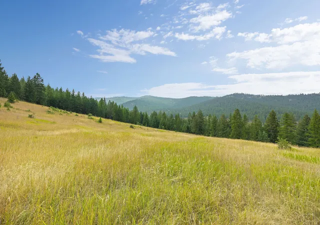 Photo 4 of Single family home for sale at 2800 Foys Lake Rd, Kalispell, MT 59901 | MLS# 30061917 | Listing updated on 2026-09-09