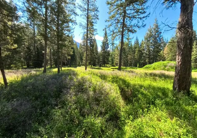 Photo 4 of Land for sale at 9 Tranquil Trl, Columbia Falls, MT 59912 | MLS# 30063992 | Listing updated on 2026-09-02
