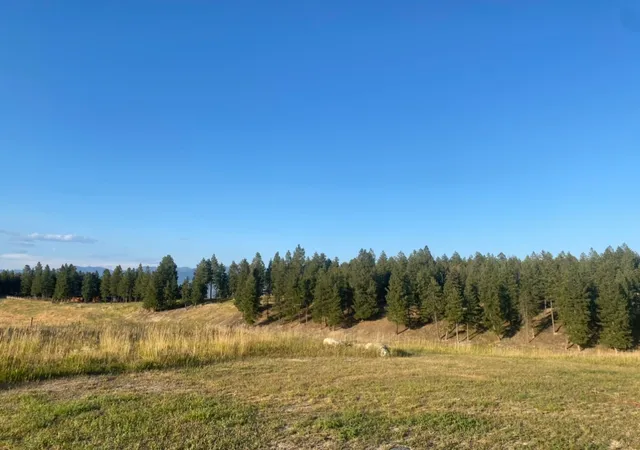 Photo 2 of Land for sale at Nhn Border Ln, Rexford, MT 59930 | MLS# 30064558 | Listing updated on 2026-09-14