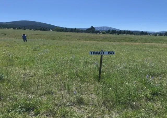 Land for sale at Tract 60 Whiskey Flats Stevie Ln, Philipsburg, MT 59858 | MLS# 30064626