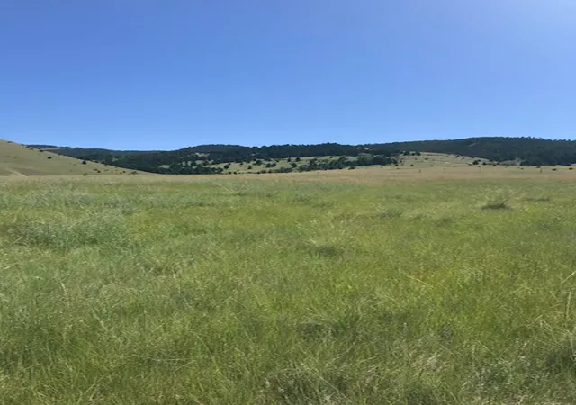 Photo 3 of Land for sale at Tract 60 Whiskey Flats Stevie Ln, Philipsburg, MT 59858 | MLS# 30064626 | Listing updated on 2026-09-11