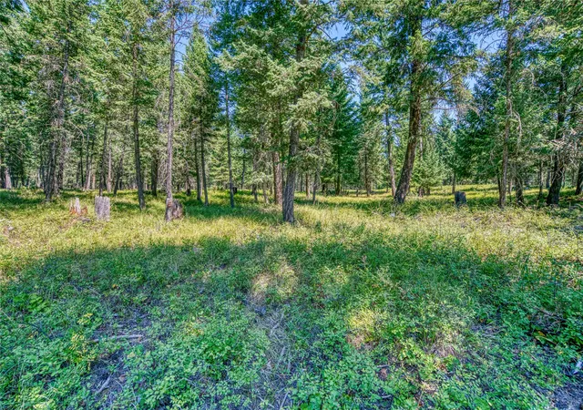 Photo 2 of Land for sale at Nhn Km Ranch Rd, Whitefish, MT 59937 | MLS# 30065291 | Listing updated on 2026-09-14