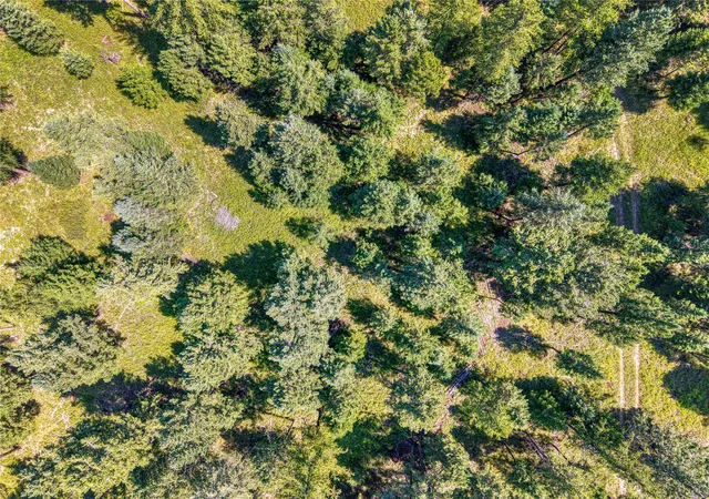 Photo 4 of House for sale at Nhn Km Ranch Rd, Whitefish, MT 59937 | MLS# 30065291 | Listing updated on 2026-09-14