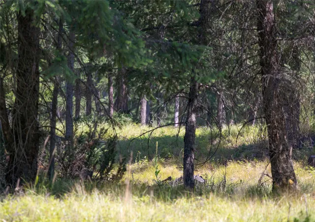 Photo 2 of Land for sale at Nhn Bowdish Rd, Whitefish, MT 59937 | MLS# 30065287 | Listing updated on 2026-09-21