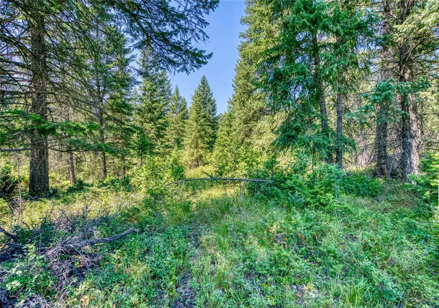 Photo 3 of Land for sale at Nhn Bowdish Rd, Whitefish, MT 59937 | MLS# 30065287 | Listing updated on 2026-09-21