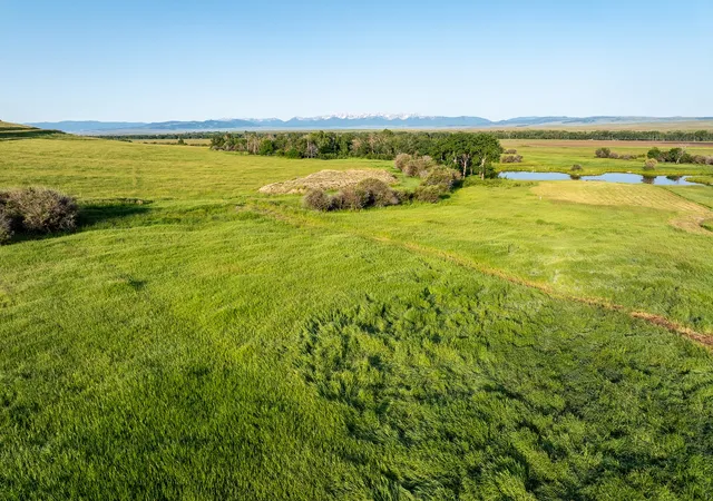 Photo 4 of Single family home for sale at 91 Porcupine Rd, Wilsall, MT 59086 | MLS# 30065359 | Listing updated on 2026-09-18