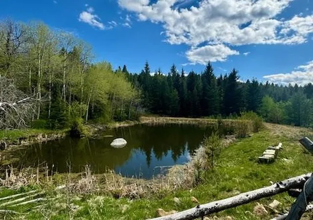 Photo 1 of Land for sale at Nhn Perkins Gulch Rd, Anaconda, MT 59711 | MLS# 30065205 | Listing updated on 2026-09-14