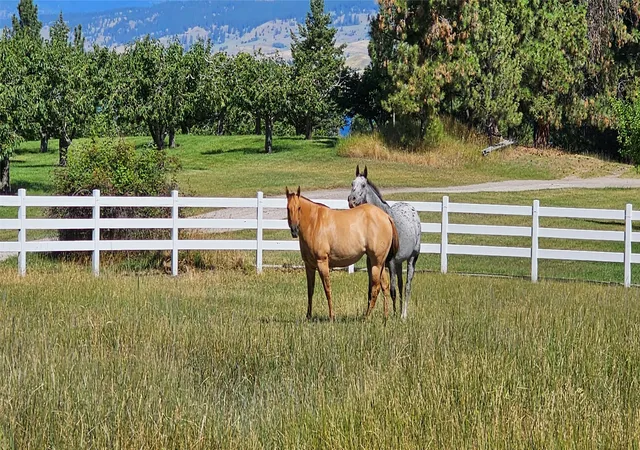 Photo 3 of Land for sale at 39784 US Hwy 93, Polson, MT 59860 | MLS# 30066418 | Listing updated on 2026-09-16