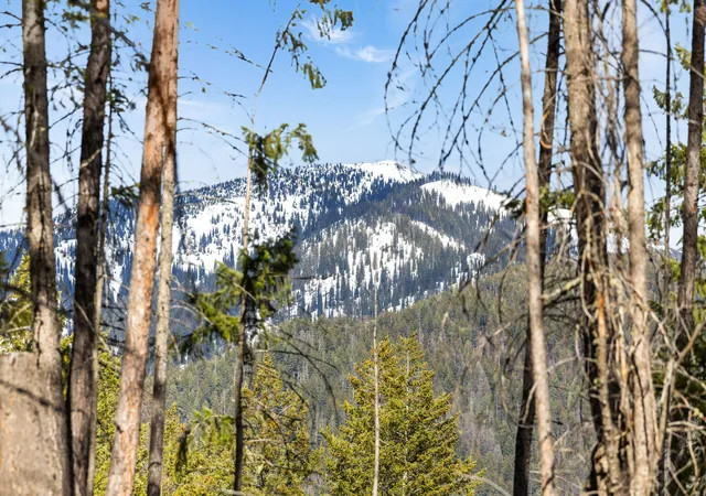 Photo 1 of Land for sale at 310 Rolling Ridge Dr, Kalispell, MT 59901 | MLS# 30067873 | Listing updated on 2026-09-10