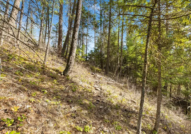 Photo 3 of Land for sale at 310 Rolling Ridge Dr, Kalispell, MT 59901 | MLS# 30067873 | Listing updated on 2026-09-10