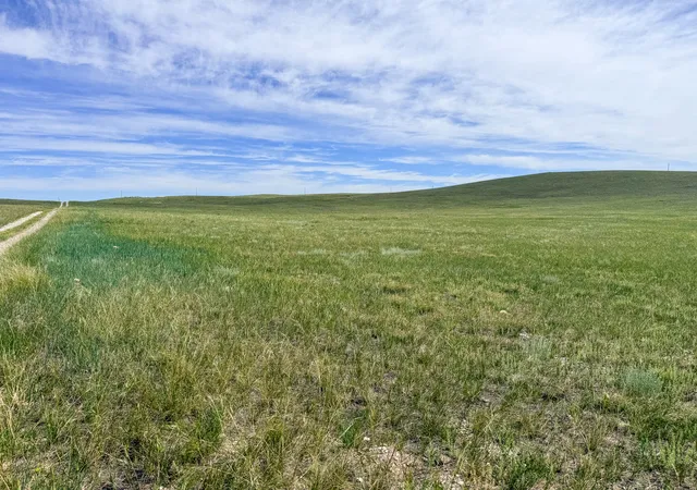 Photo 1 of Land for sale at Lot 146 Willow Crk Subdivision, Augusta, MT 59410 | MLS# 30067731 | Listing updated on 2026-09-14