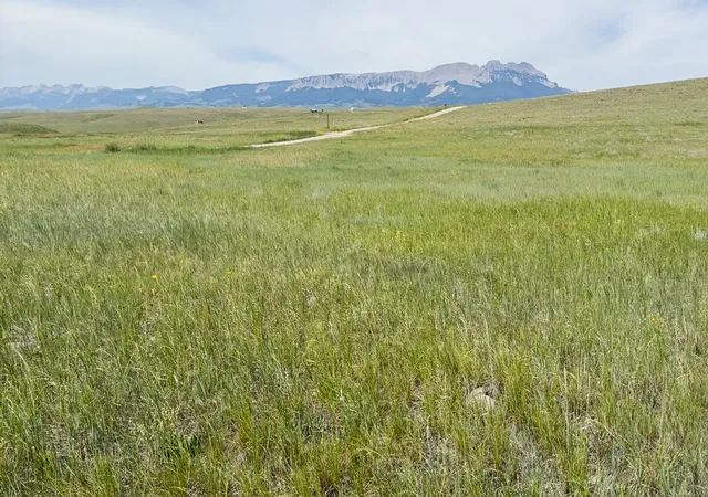 Photo 4 of Land for sale at Lot 146 Willow Crk Subdivision, Augusta, MT 59410 | MLS# 30067731 | Listing updated on 2026-09-14