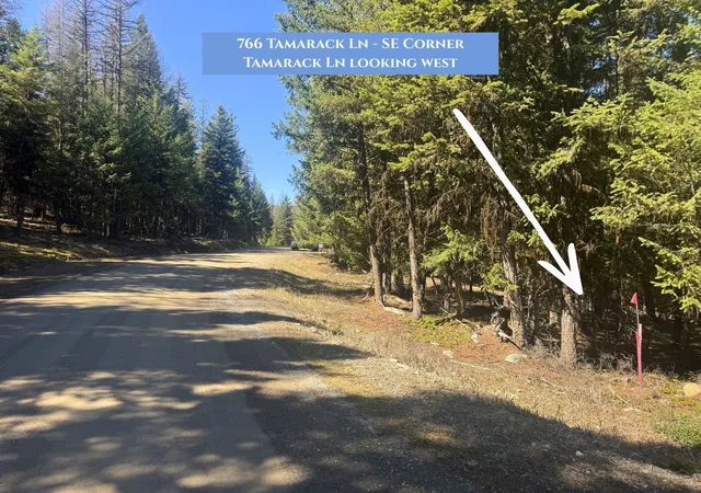 Photo 3 of Land for sale at 766 Tamarack Ln, Rexford, MT 59930 | MLS# 30067924 | Listing updated on 2026-09-12