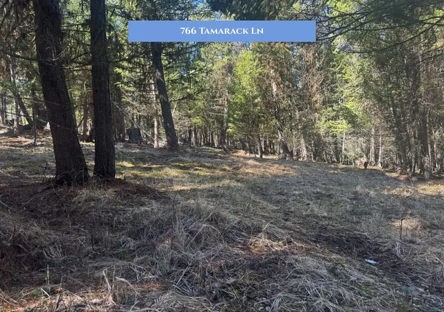 Photo 4 of Land for sale at 766 Tamarack Ln, Rexford, MT 59930 | MLS# 30067924 | Listing updated on 2026-09-12