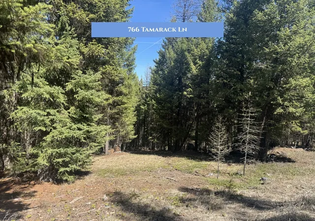 Photo 4 of Land for sale at 766 And 854 Tamarack Ln, Rexford, MT 59930 | MLS# 30067928 | Listing updated on 2026-09-12