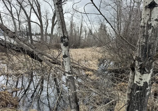Photo 2 of Land for sale at Nhn Two Moons Rd, Florence, MT 59833 | MLS# 30067941 | Listing updated on 2026-09-03