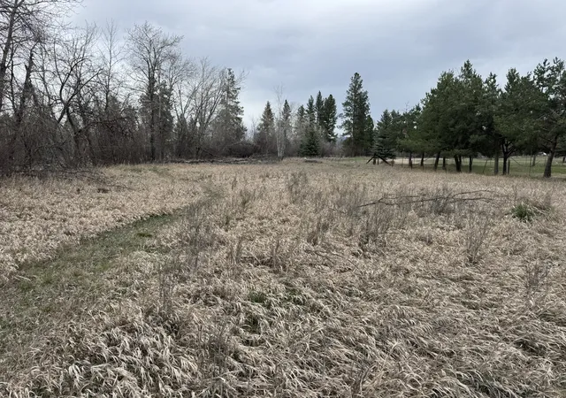 Photo 3 of Land for sale at Nhn Two Moons Rd, Florence, MT 59833 | MLS# 30067941 | Listing updated on 2026-09-03