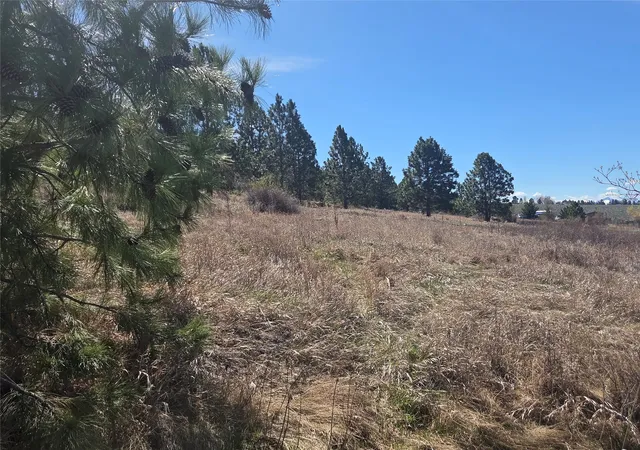 Photo 3 of Land for sale at 1233 Narrow Way, Stevensville, MT 59870 | MLS# 30068366 | Listing updated on 2026-09-14