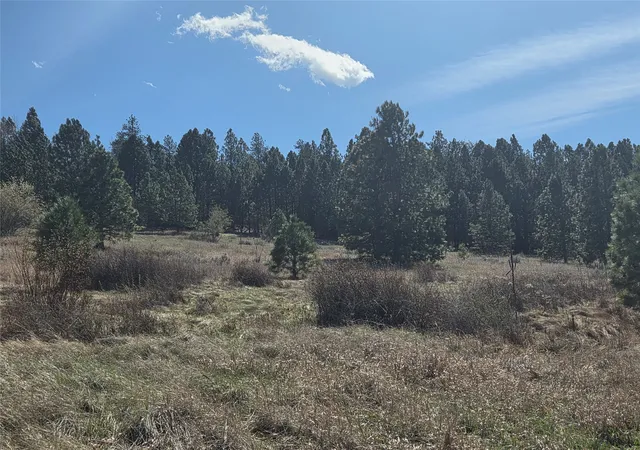 Photo 4 of Land for sale at 1233 Narrow Way, Stevensville, MT 59870 | MLS# 30068366 | Listing updated on 2026-09-14
