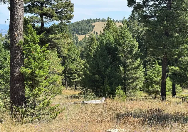 Photo 3 of Land for sale at 7 8 Turk Rd, Helena, MT 59602 | MLS# 30068733 | Listing updated on 2026-09-14