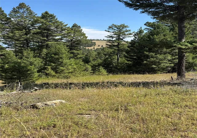 Photo 4 of Land for sale at 7-8 Turk Rd, Helena, MT 59602 | MLS# 30068733 | Listing updated on 2026-09-14