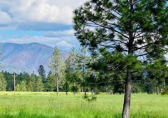 Photo 1 of Land for sale at 21 Cabinet View, Trout Creek, MT 59874 | MLS# 30069043 | Listing updated on 2026-09-03