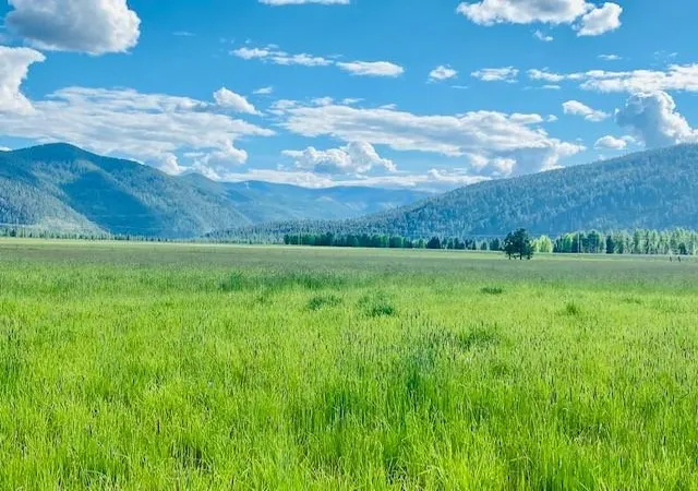 Photo 2 of Land for sale at 21 Cabinet View, Trout Creek, MT 59874 | MLS# 30069043 | Listing updated on 2026-09-03