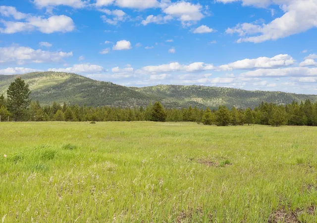 Photo 1 of Land for sale at 115 Marion Meadows Trl, Marion, MT 59925 | MLS# 30069207 | Listing updated on 2026-09-14